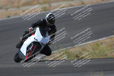 media/May-09-2022-Moto Forza (Mon) [[0226cf3505]]/Group B/B 1020am/